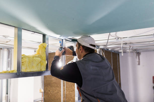Best Insulation for New Construction  in Greenwood, SC