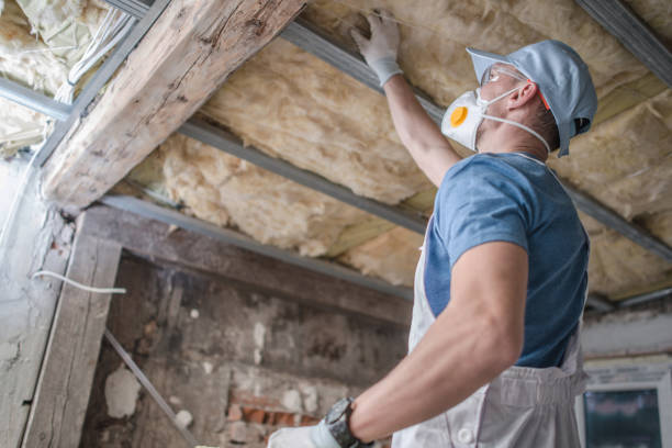 Best Attic Insulation Installation  in Greenwood, SC