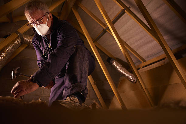 Best Insulation Repair Services  in Greenwood, SC