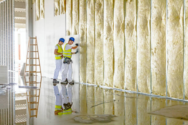 Best Professional Insulation Contractor  in Greenwood, SC